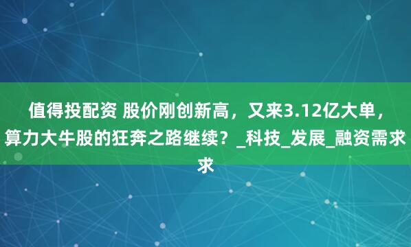 值得投配资 股价刚创新高，又来3.12亿大单，算力大牛股的狂奔之路继续？_科技_发展_融资需求