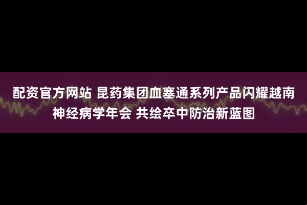 配资官方网站 昆药集团血塞通系列产品闪耀越南神经病学年会 共绘卒中防治新蓝图