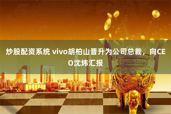 炒股配资系统 vivo胡柏山晋升为公司总裁,向CEO沈炜汇报
