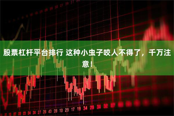 股票杠杆平台排行 这种小虫子咬人不得了,千万注意!